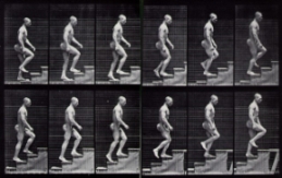 http://www.forum-mp3.net/images/article_compression/Muybridge_ascending_stairs.jpg