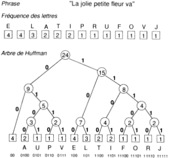 http://www.forum-mp3.net/images/article_compression/codage%20Huffman.gif