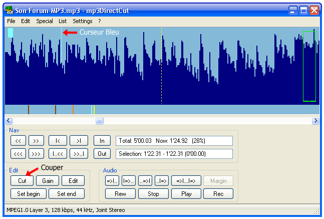 http://www.forum-mp3.net/images/mp3DirectCut-Curseur.png
